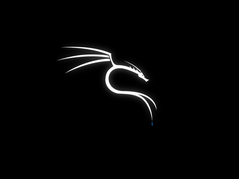 Kali Linux | Deploy it in a Docker Container